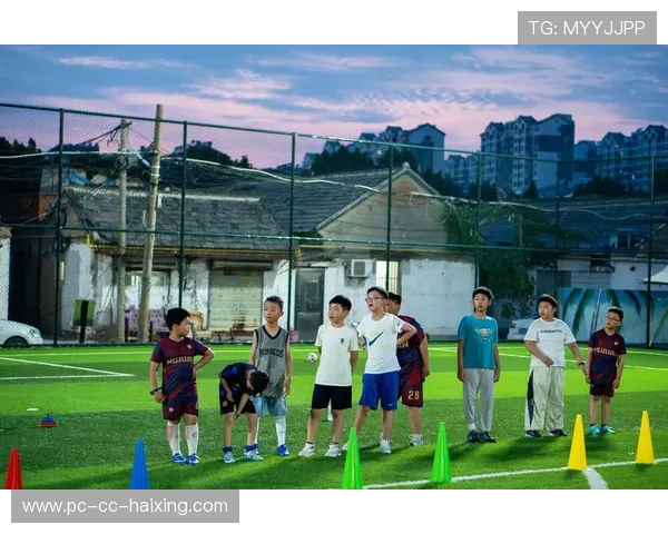 身披29号战袍的足球球星那些年在绿茵场上闪耀的激情时刻